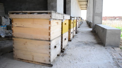 蜂場打了除草劑什么時(shí)候可以放中蜂（打過除草劑的地多久可以放蜜蜂）