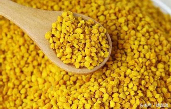 蜜蜂喂花粉要加土霉素嗎(蜜蜂花粉怎么配) 蜜蜂喂花粉要加土霉素嗎(蜜蜂花粉怎么配)