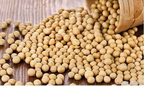 蜜蜂喂花粉要加土霉素嗎(蜜蜂花粉怎么配) 蜜蜂喂花粉要加土霉素嗎(蜜蜂花粉怎么配)