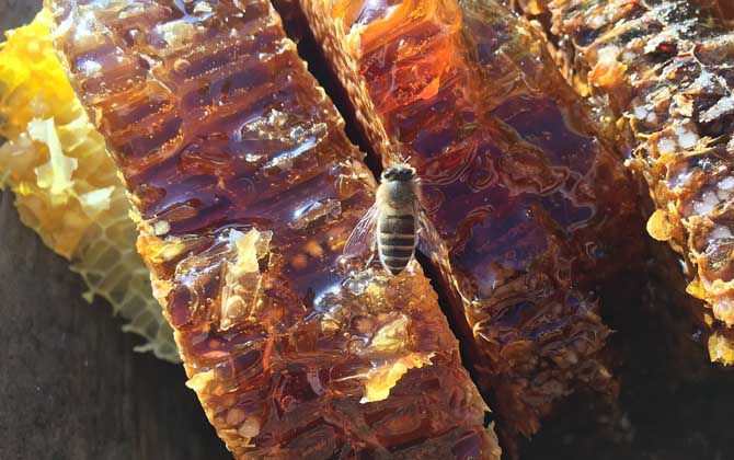 蜂蜜不能放在冰箱里面嗎 蜂蜜不能放在冰箱里面嗎