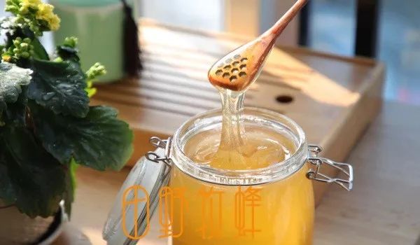 未成熟的蜂蜜怎么處理(買到不成熟蜂蜜怎么處理) 未成熟的蜂蜜怎么處理(買到不成熟蜂蜜怎么處理)