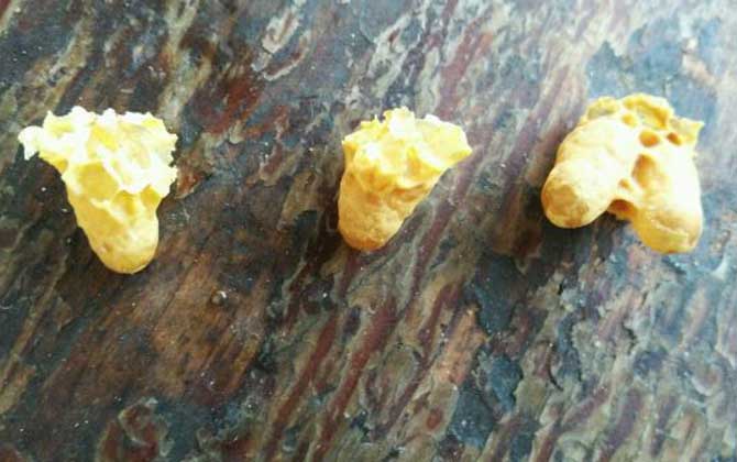 急造王臺幾天封蓋幾天出臺(王臺封蓋后幾天出新王) 急造王臺幾天封蓋幾天出臺(王臺封蓋后幾天出新王)