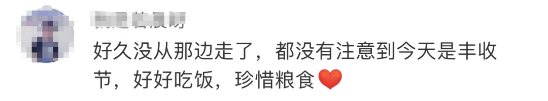 今天,袁隆平雕像前滿是鮮花 今天,袁隆平雕像前滿是鮮花