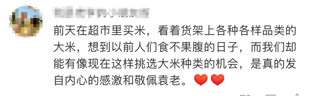 今天,袁隆平雕像前滿是鮮花 今天,袁隆平雕像前滿是鮮花