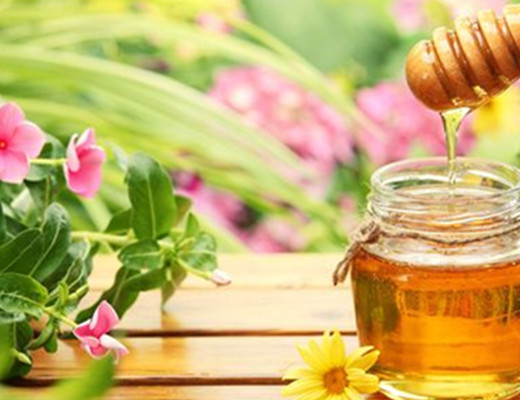 蜜蜂分蜂一般會往哪飛(蜜蜂分蜂后第一次結(jié)團時間大約是多久) 蜜蜂分蜂一般會往哪飛(蜜蜂分蜂后第一次結(jié)團時間大約是多久)