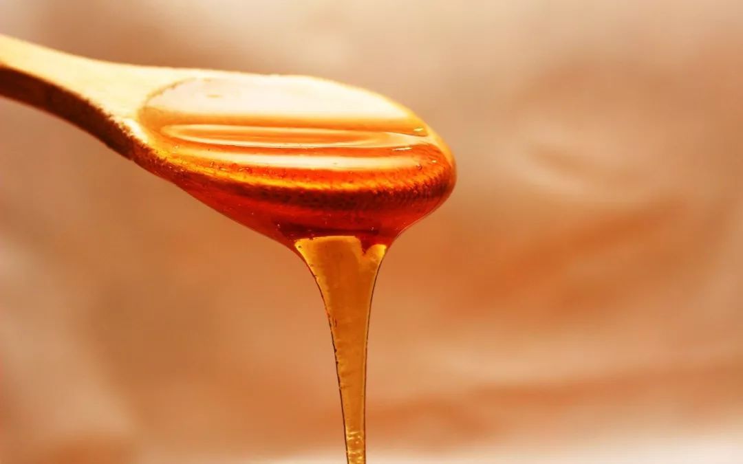 蜜蜂分蜂一般會往哪飛(蜜蜂分蜂后第一次結(jié)團時間大約是多久) 蜜蜂分蜂一般會往哪飛(蜜蜂分蜂后第一次結(jié)團時間大約是多久)