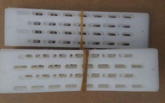 防逃片為什么關不住蜂王？