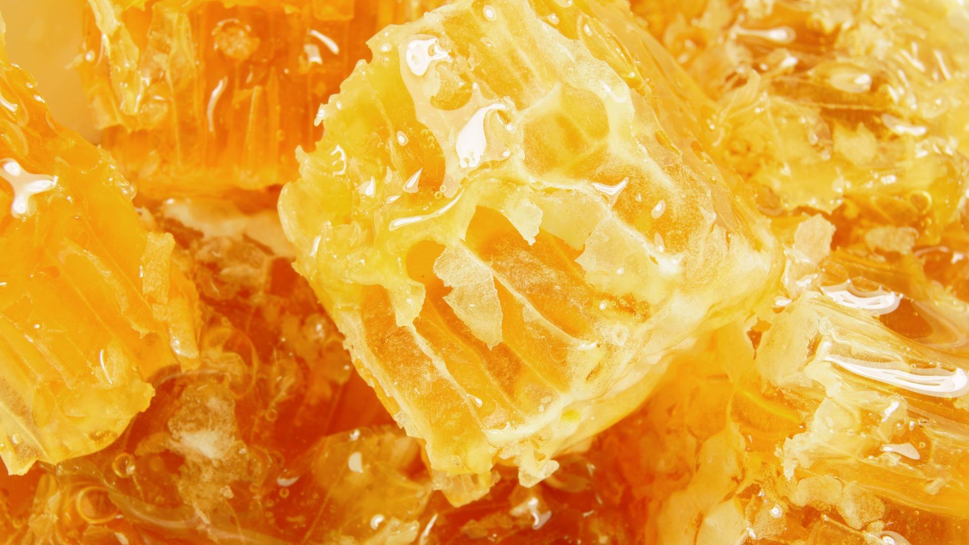 五味子和蜜五味子有什么區別（五味子和蜜五味子的對比）