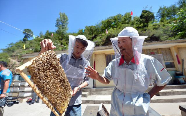 養蜂要辦營業執照嗎(養蜂營業執照辦理手續) 養蜂要辦營業執照嗎(養蜂營業執照辦理手續)