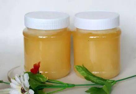 烏桕蜂蜜的作用與功效及食用方法(山烏桕蜜的功效與作用) 烏桕蜂蜜的作用與功效及食用方法(山烏桕蜜的功效與作用)