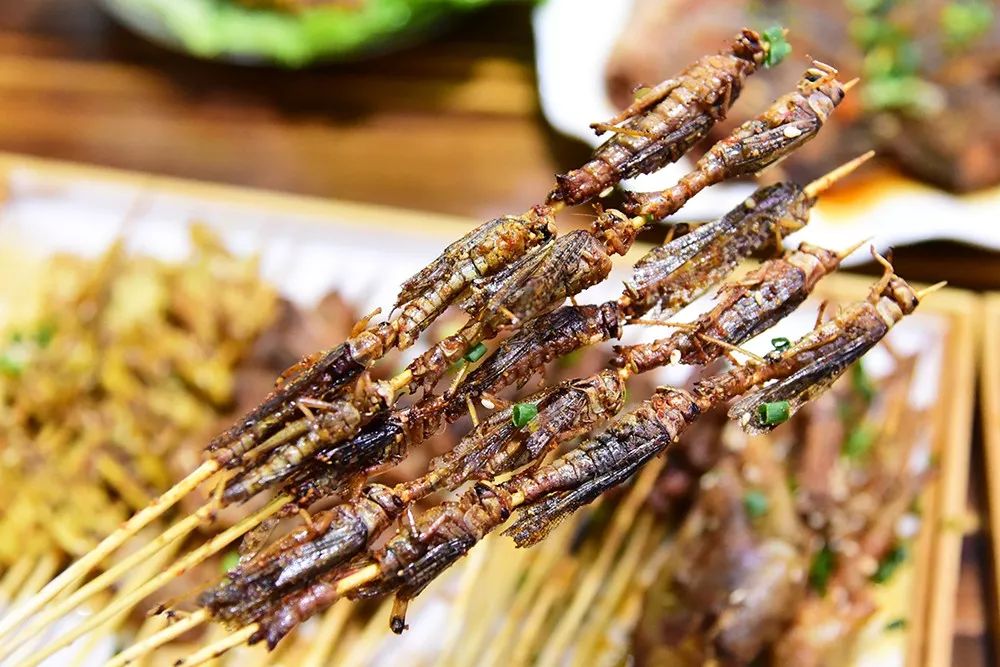 20萬(wàn)只粉紅椋鳥(niǎo)到達(dá)新疆,滅蝗大戰(zhàn)開(kāi)始,蝗蟲(chóng)還夠吃嗎 20萬(wàn)只粉紅椋鳥(niǎo)馳援新疆滅蝗,護(hù)40萬(wàn)畝草場(chǎng)!蝗災(zāi)到底有多可怕?