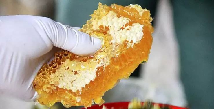 【蜜蜂養殖】蜜蜂養殖新技術 蜜蜂養殖新技術