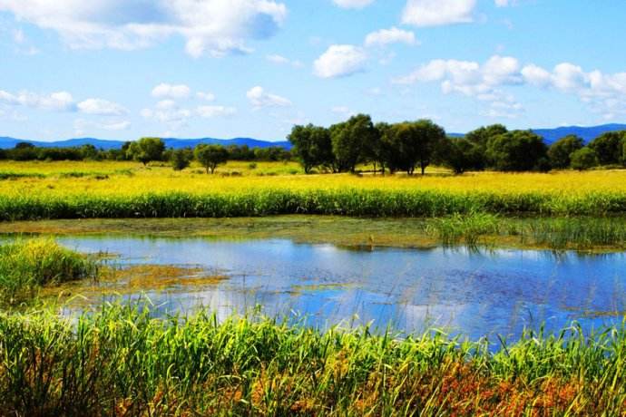 100只蜜蜂一蜂王如何繁殖 100只蜜蜂一蜂王如何繁殖