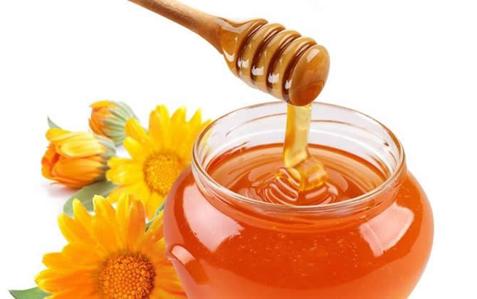 土蜂蜜市場價格 土蜂蜜市場價格