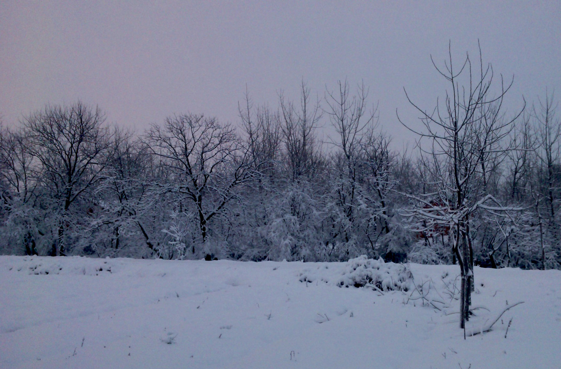 35℃！南方“重回盛夏”，高溫何時結束，為啥今年氣候如此反常？