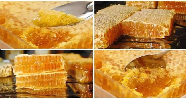 土蜂蜜和普通蜂蜜的區別 土蜂蜜和普通蜂蜜的區別?