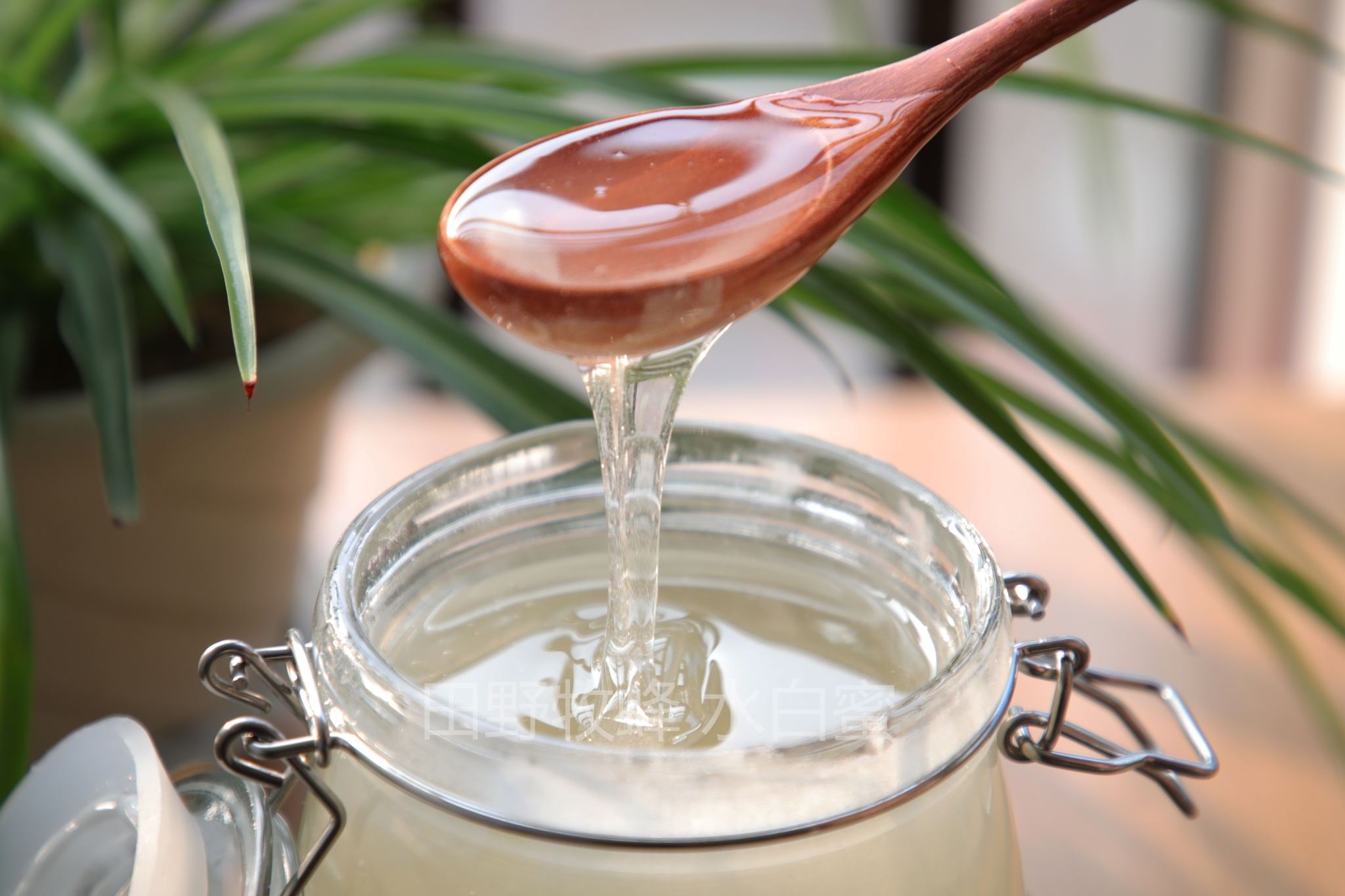 什么是水白蜜(水白蜜是一種什么蜜) 什么是水白蜜(水白蜜是一種什么蜜)