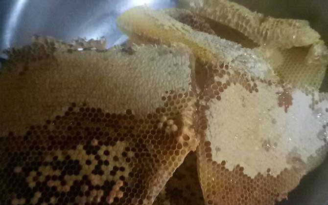 蜂巢是怎么形成的(蜂巢的形成過(guò)程) 蜂巢是怎么形成的(蜂巢的形成過(guò)程)