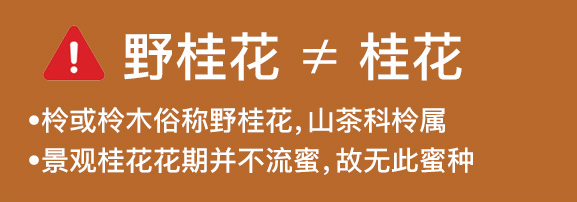 野桂花蜜有蜜嗎(野桂花蜜的功效與作用) 野桂花蜜有蜜嗎(野桂花蜜的功效與作用)