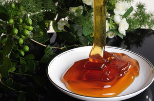 蜂蜜的分類和不同功效(蜂蜜的好處和功效) 蜂蜜的分類和不同功效(蜂蜜的好處和功效)