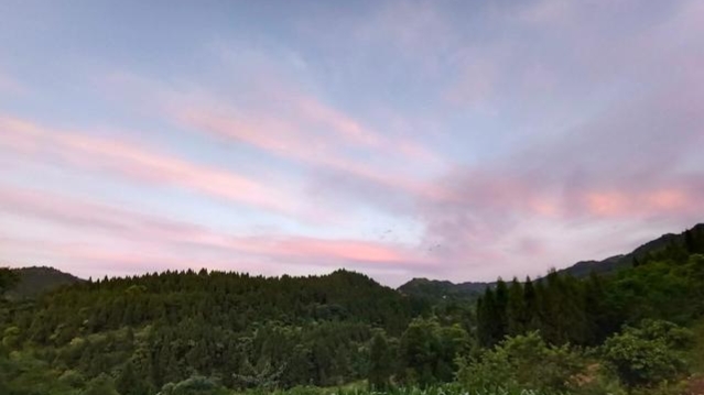 蜜蜂取蜜什么時候最好(養蜂什么時候可以取蜜) 蜜蜂什么時候取蜜最好?取蜜的3種常用方法,每種方法的利與弊