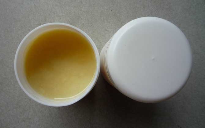 蜂王漿是哪種蜜蜂吃的（蜂王漿的營(yíng)養(yǎng)價(jià)值）