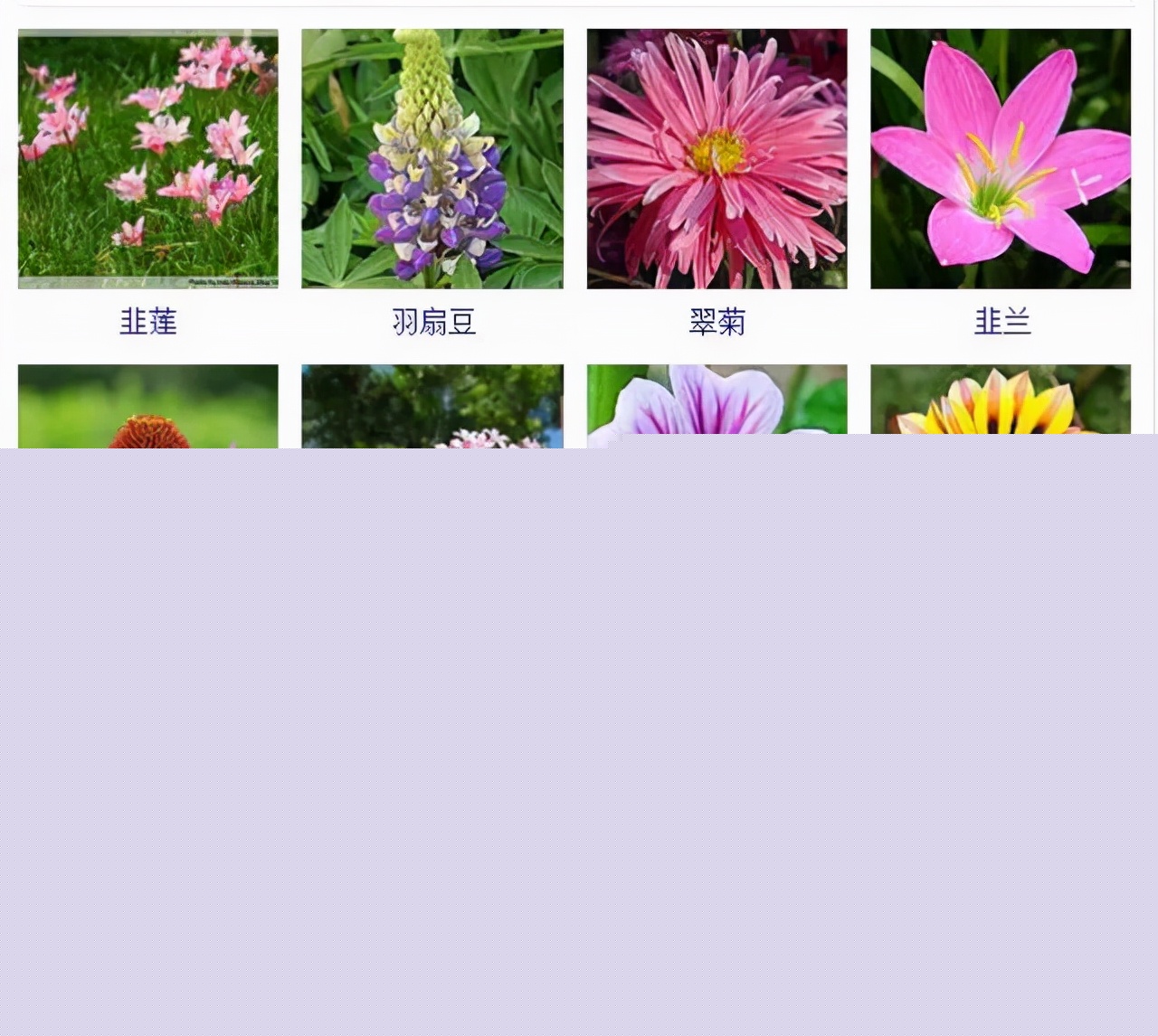 植物品種名稱大全（最常見的800種景觀觀花植物，附植物習性種植）