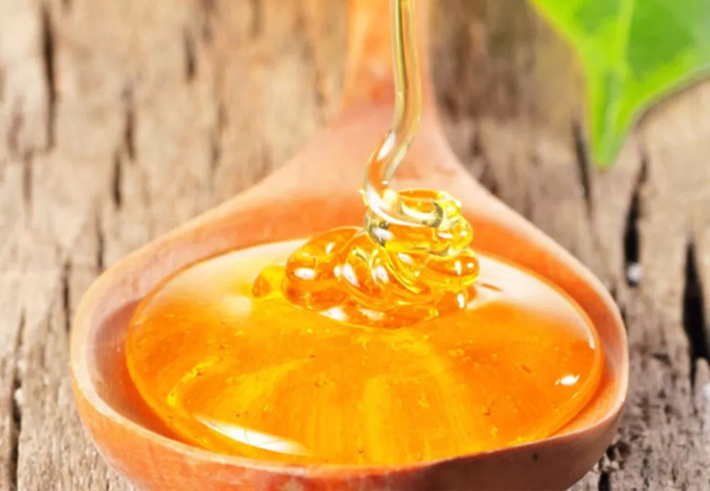 貴州有哪些主要的蜜源植物?（蜜源植物花期時間）