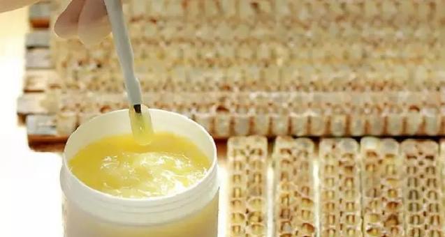 蜂王漿適合什么人吃?(有什么好處和作用,可以長期吃嗎?) 蜂王漿適合什么人吃?(有什么好處和作用,可以長期吃嗎?)