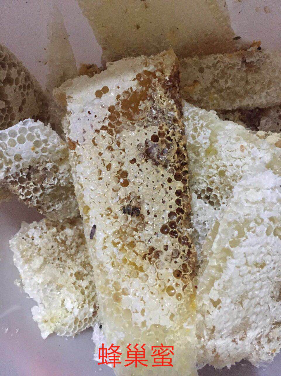 養(yǎng)中蜂的詳細(xì)技術(shù)方法要點(中蜂養(yǎng)殖發(fā)展快的技巧) 養(yǎng)中蜂的詳細(xì)技術(shù)方法要點(中蜂養(yǎng)殖發(fā)展快的技巧)