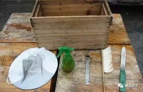 蜂箱濕度一般多少(蜜蜂的安全臨界溫度和最適濕度) 蜂箱濕度一般多少(蜜蜂的安全臨界溫度和最適濕度)