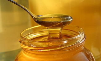 浙江有哪些蜜粉源植物（浙江養(yǎng)蜂業(yè)之蜜粉源植物介紹）