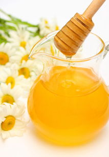 人工育王需要哪些工具(育王群有哪幾種形式) 人工育王需要哪些工具(育王群有哪幾種形式)