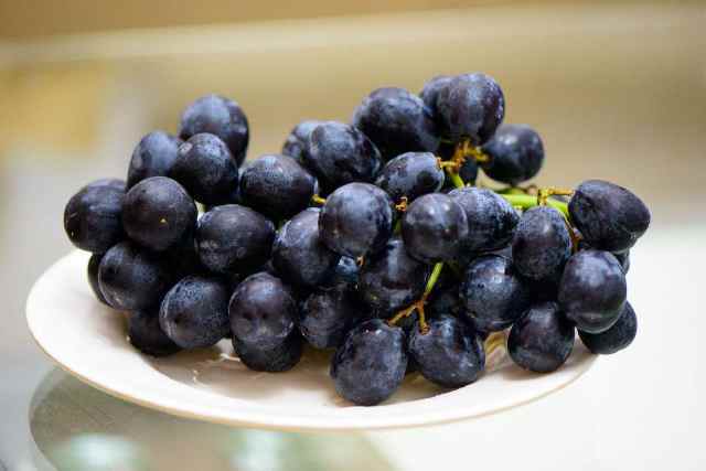 黑加侖葡萄是什么品種(黑加侖品種介紹和加工工藝) 黑加侖葡萄是什么品種(黑加侖品種介紹和加工工藝)