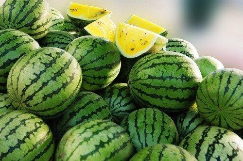 無籽西瓜有哪些品種(15種無籽西瓜品種介紹) 無籽西瓜有哪些品種(15種無籽西瓜品種介紹)