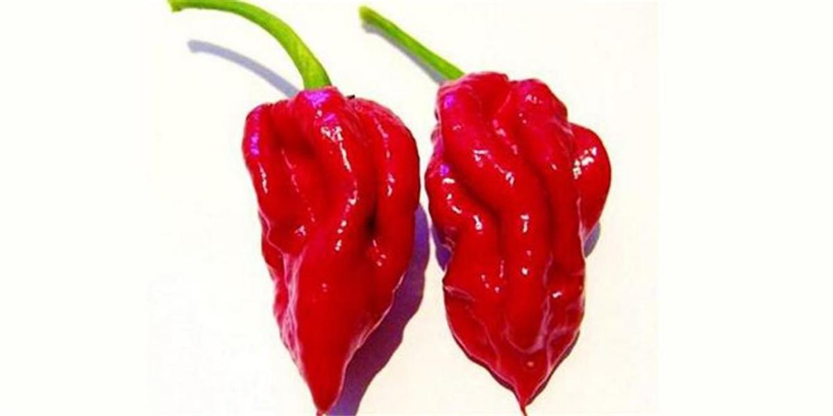 世界上最辣的辣椒叫什么名字(世界上最辣的辣椒排行榜) 世界上最辣的辣椒叫什么名字(世界上最辣的辣椒排行榜)