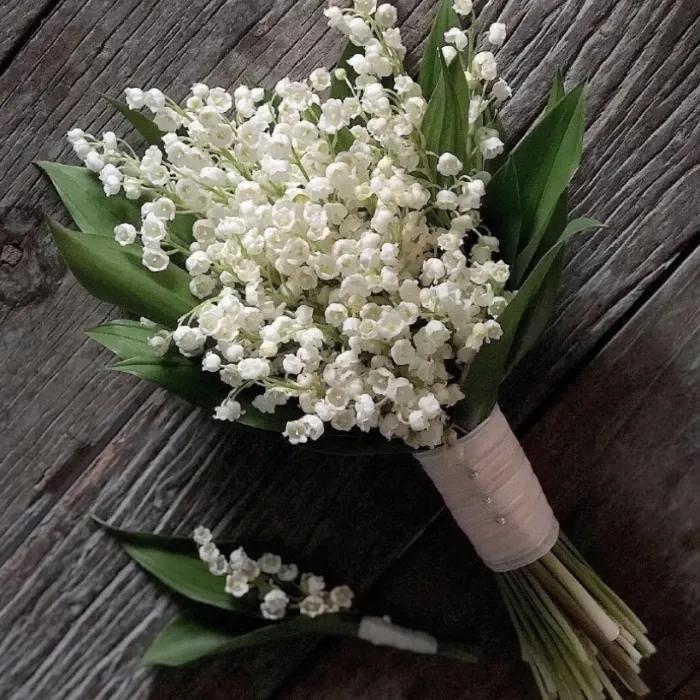 鈴蘭花的花語(yǔ)和象征意義（鈴蘭花的寓意）