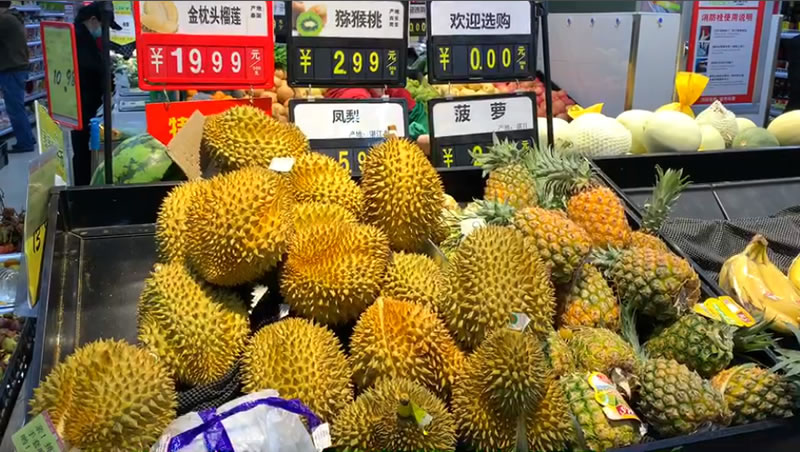 什么樣的榴蓮才是好榴蓮(挑選榴蓮的訣竅) 什么樣的榴蓮才是好榴蓮(挑選榴蓮的訣竅)