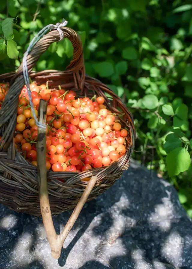 為什么車?yán)遄颖葯烟屹F很多(車?yán)遄雍蜋烟业膮^(qū)別) 為什么車?yán)遄颖葯烟屹F很多(車?yán)遄雍蜋烟业膮^(qū)別)