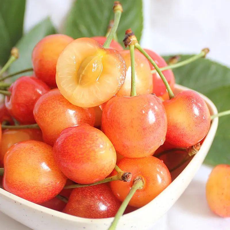 為什么車?yán)遄颖葯烟屹F很多(車?yán)遄雍蜋烟业膮^(qū)別) 為什么車?yán)遄颖葯烟屹F很多(車?yán)遄雍蜋烟业膮^(qū)別)