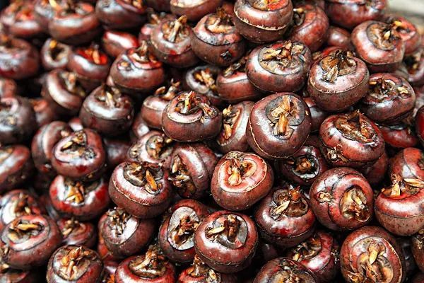 水果荸薺怎么讀(荸薺的正確發音) 水果荸薺怎么讀(荸薺的正確發音)