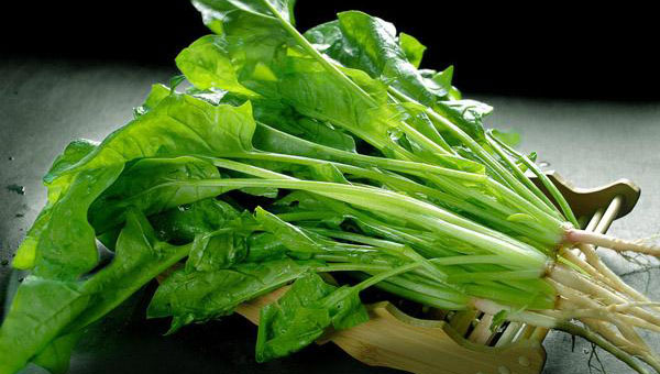 菠菜是什么季節的應季蔬菜(菠菜種植與養護) 菠菜是什么季節的應季蔬菜(菠菜種植與養護)