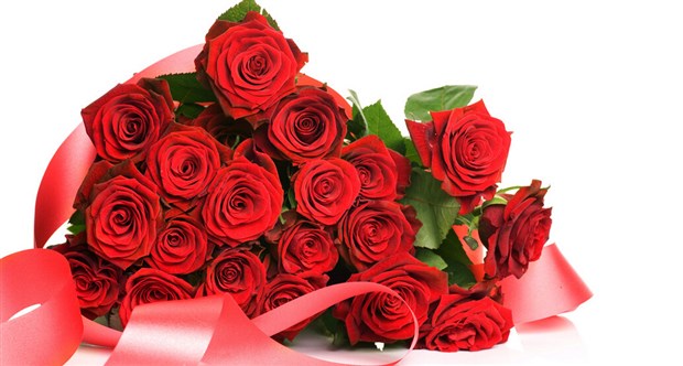 16朵玫瑰代表什么意思(16朵玫瑰的花語及寓意) 16朵玫瑰代表什么意思(16朵玫瑰的花語及寓意)