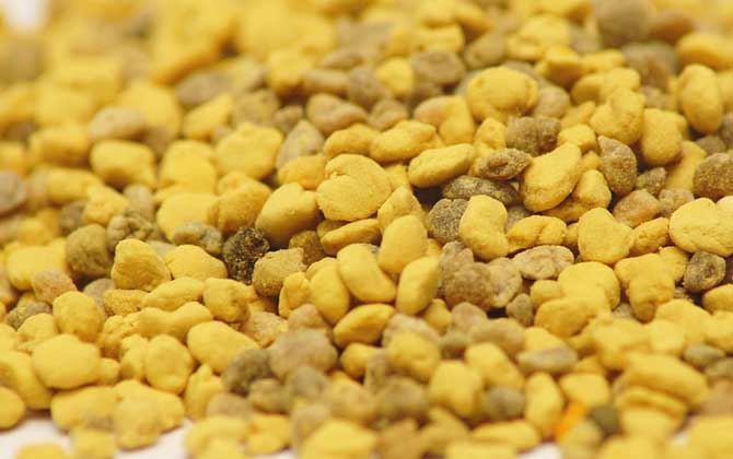 蜂花粉的作用與功效有哪些？經常吃些蜂花粉，這7個好處跑不了！