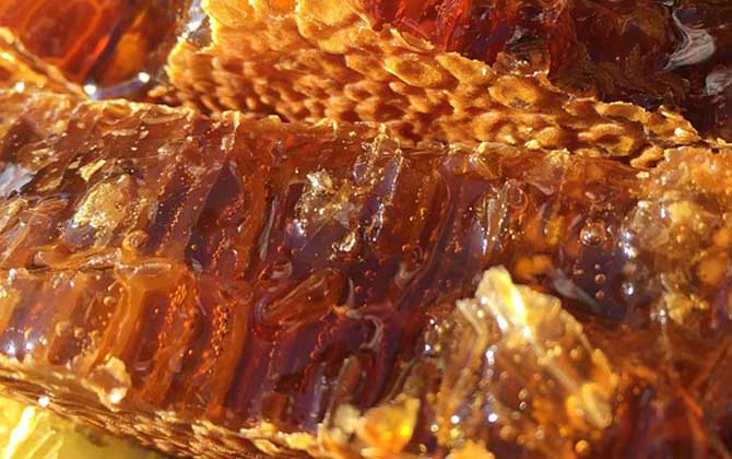 蜂巢酒的禁忌有哪些？除了不能過(guò)量飲用，還要警惕發(fā)生過(guò)敏反應(yīng)！