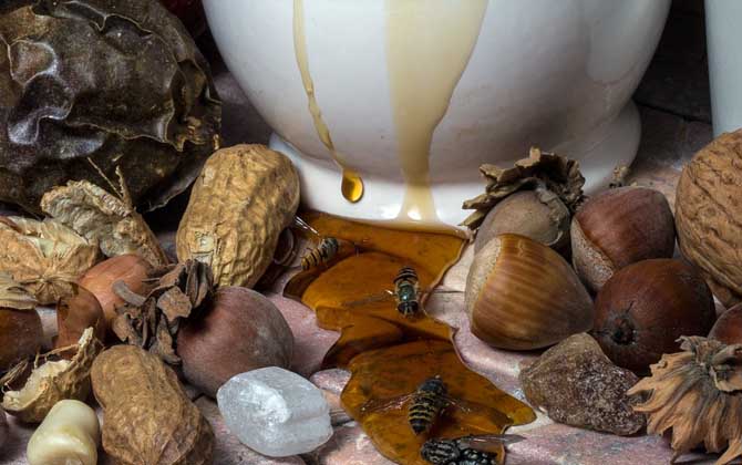 蜂蜜變黑了還能吃嗎？關(guān)鍵看變黑的原因，若是變質(zhì)了則不能再吃！