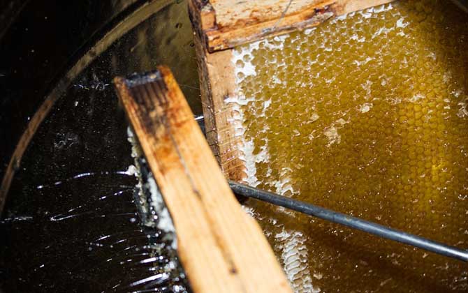 真蜂蜜大概多少錢一斤？最便宜的都要50元，有些甚至要200多元！