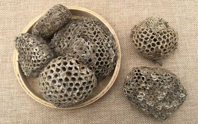 蜂房怎樣吃不會(huì)中毒？蜂房有小毒，必須在醫(yī)生的指導(dǎo)下服用！