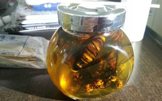 蜂酒的功效與作用及禁忌人群