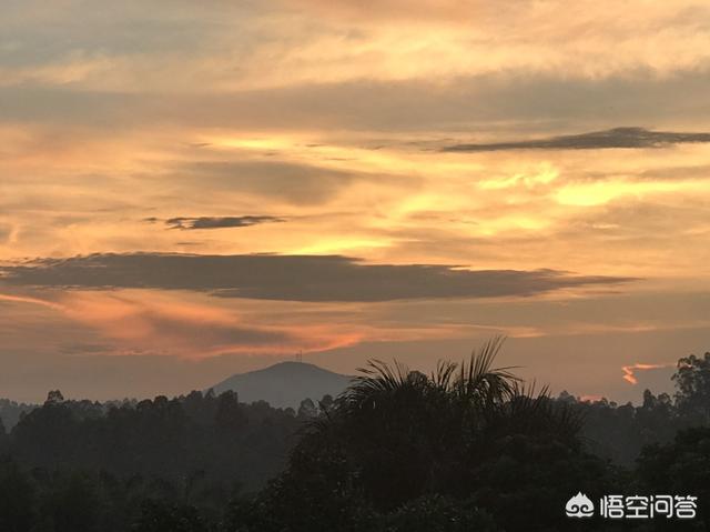 有沒有和別人合作養(yǎng)殖蜜蜂的項(xiàng)目(合作養(yǎng)蜂是真的嗎)